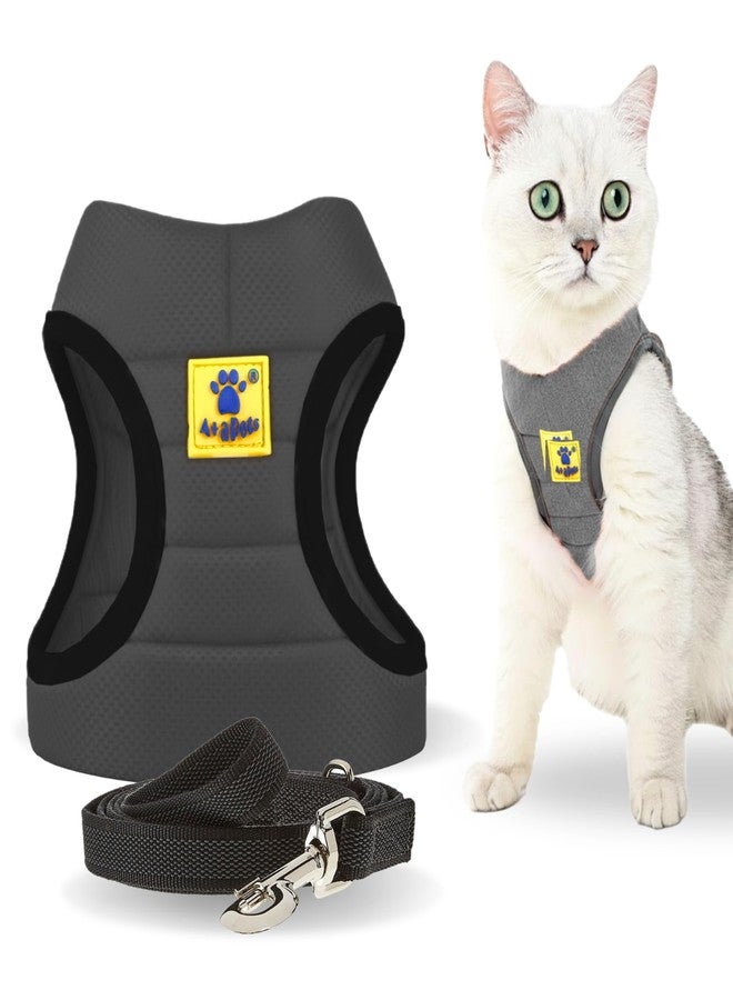 A+a Pets طقم سرج ومقود خفيف الوزن للقطط والكلاب من A+a Pets - مقاوم للهروب، قابل للتعديل، لا يسبب الشد، سترة مبطنة ناعمة للقطط الفارسية والقطط الصغيرة والكلاب الصغيرة (رمادي، مقاس XS) - Image 1